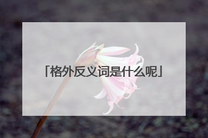 格外反义词是什么呢