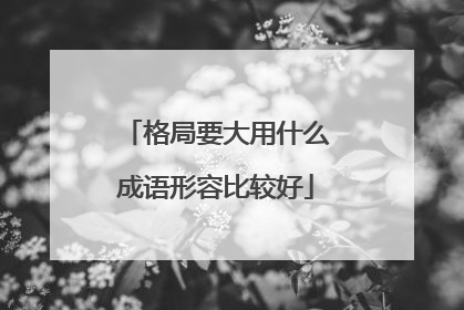 格局要大用什么成语形容比较好