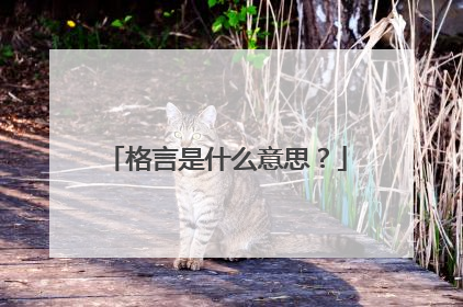 格言是什么意思?