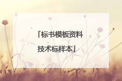 标书模板资料技术标样本