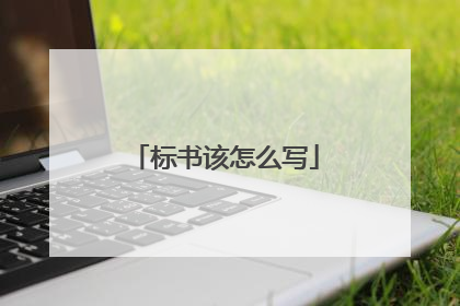 标书该怎么写
