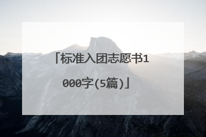 标准入团志愿书1000字(5篇)