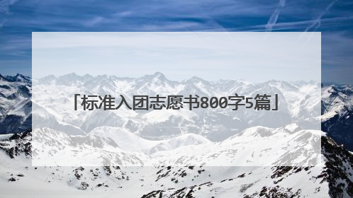 标准入团志愿书800字5篇