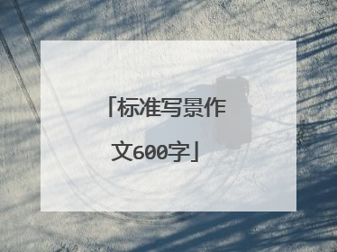 标准写景作文600字