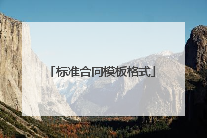 标准合同模板格式