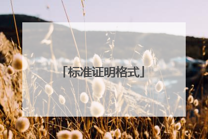 标准证明格式