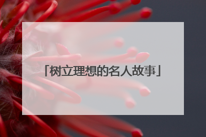 树立理想的名人故事