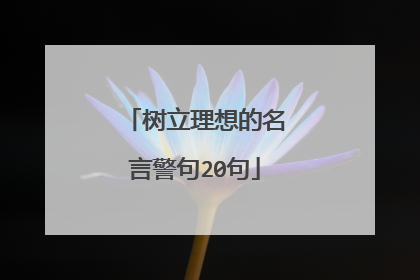 树立理想的名言警句20句