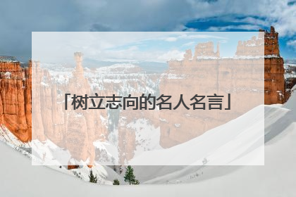 树立志向的名人名言