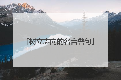 树立志向的名言警句