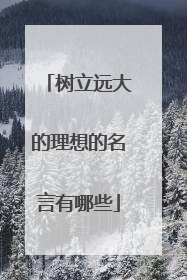 树立远大的理想的名言有哪些