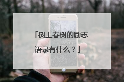 树上春树的励志语录有什么?