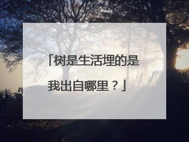 树是生活埋的是我出自哪里?