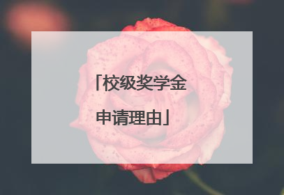 校级奖学金申请理由