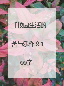 校园生活的苦与乐作文300字