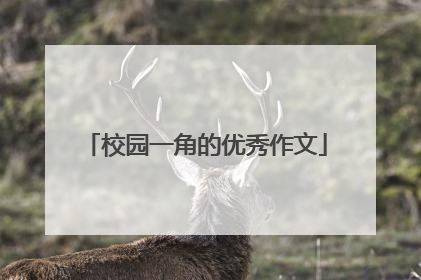校园一角的优秀作文