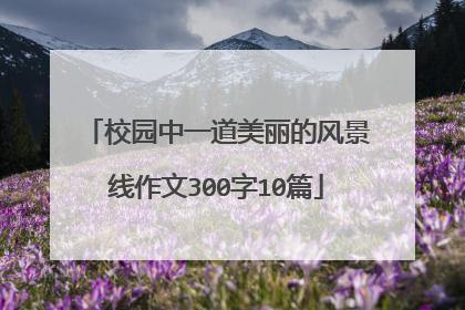 校园中一道美丽的风景线作文300字10篇