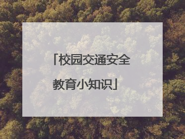 校园交通安全教育小知识
