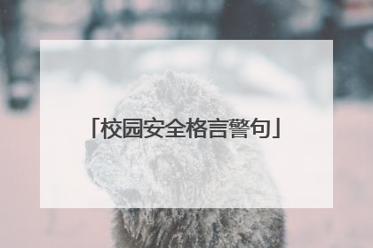 校园安全格言警句