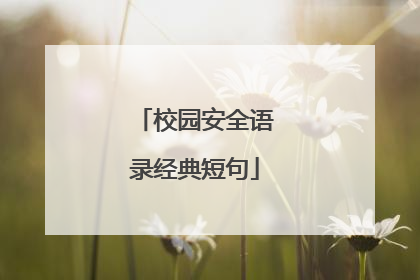 校园安全语录经典短句