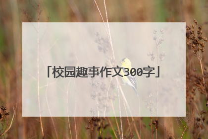 校园趣事作文300字