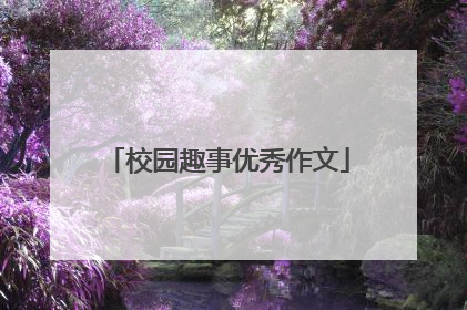 校园趣事优秀作文