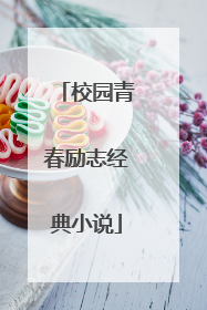 校园青春励志经典小说