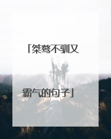 桀骜不驯又霸气的句子