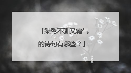 桀骜不驯又霸气的诗句有哪些？