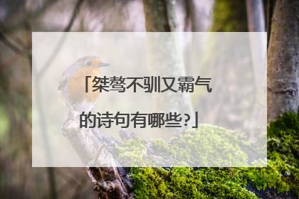 桀骜不驯又霸气的诗句有哪些?