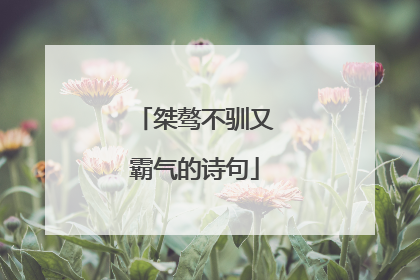 桀骜不驯又霸气的诗句