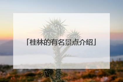 桂林的有名景点介绍
