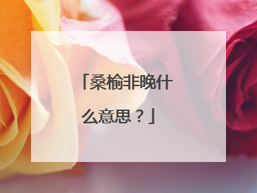 桑榆非晚什么意思？