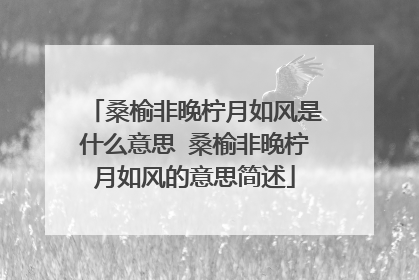 桑榆非晚柠月如风是什么意思 桑榆非晚柠月如风的意思简述