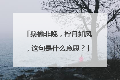 桑榆非晚，柠月如风，这句是什么意思？