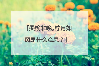 桑榆非晚,柠月如风是什么意思？
