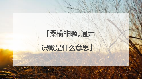 桑榆非晚,通元识微是什么意思