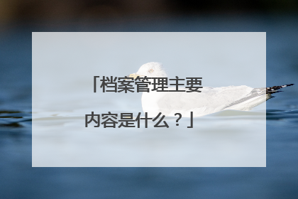 档案管理主要内容是什么?