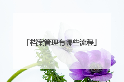 档案管理有哪些流程