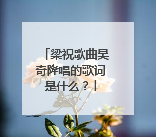 梁祝歌曲吴奇隆唱的歌词是什么?