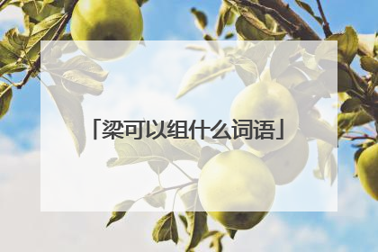 梁可以组什么词语