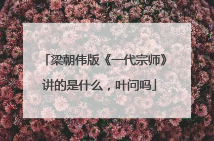 梁朝伟版《一代宗师》讲的是什么，叶问吗