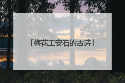 梅花王安石的古诗