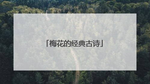 梅花的经典古诗