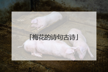梅花的诗句古诗