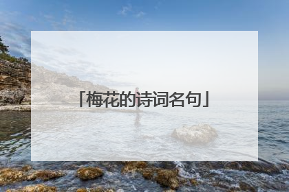 梅花的诗词名句