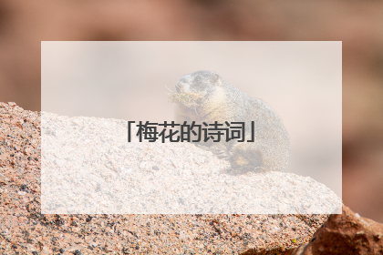 梅花的诗词
