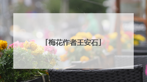 梅花作者王安石