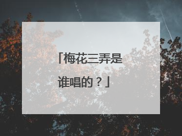 梅花三弄是谁唱的？