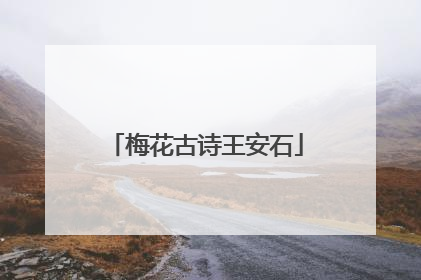 梅花古诗王安石